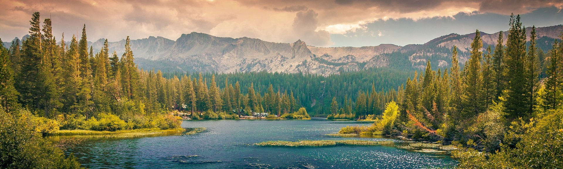 George Warlow-Davies